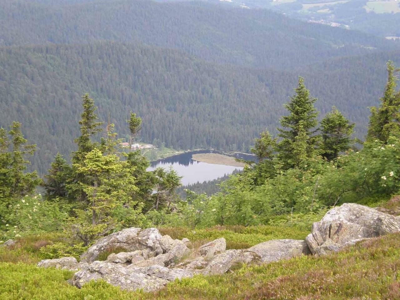 Gaestehaus Schmalzreich Lam Eksteriør bilde